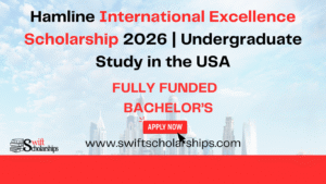 Hamline International Excellence Scholarship Image