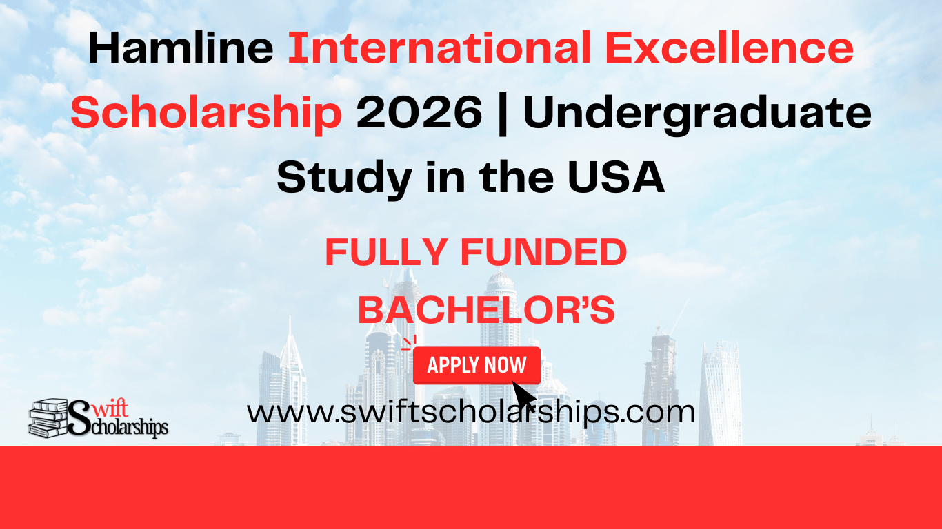 Hamline International Excellence Scholarship Image