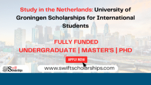Study in the Netherlands image