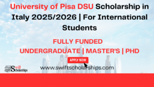 University of Pisa DSU Scholarship image