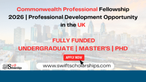 Commonwealth Professional Fellowships Image