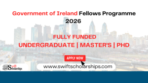 Government of Ireland Fellows Programme image